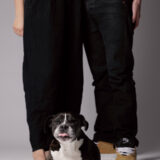 dog-friendly lifestyle photographer in Baltimore, Maryland