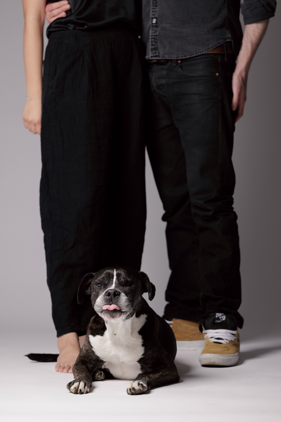 dog-friendly lifestyle photographer in Baltimore, Maryland