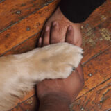 Dog-friendly lifestyle photographer in Baltimore, Maryland