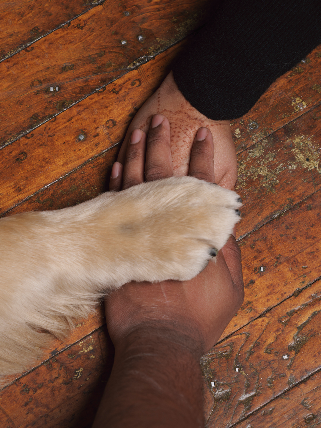 Dog-friendly lifestyle photographer in Baltimore, Maryland