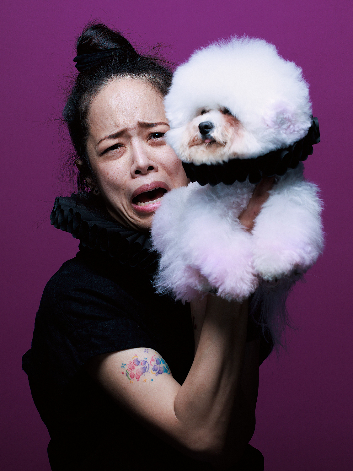Baltimore dog friendly lifestyle photograpjhy studio